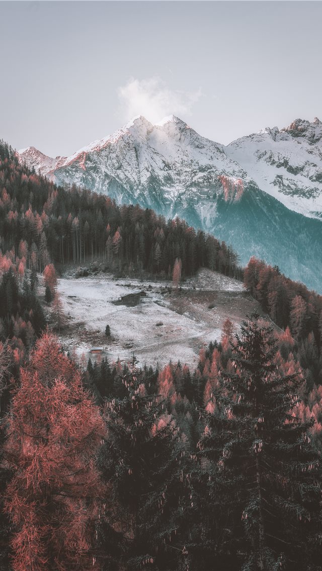 icy mountain and green trees scenry iPhone wallpaper 