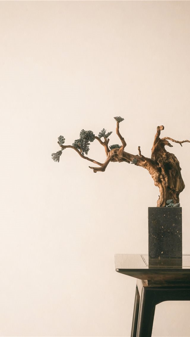 640x1136 bonzai tree by the edge of wooden table - china iPhone Wallpaper
