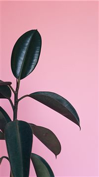 Scott Webb Photography  London  Canada wallpaper