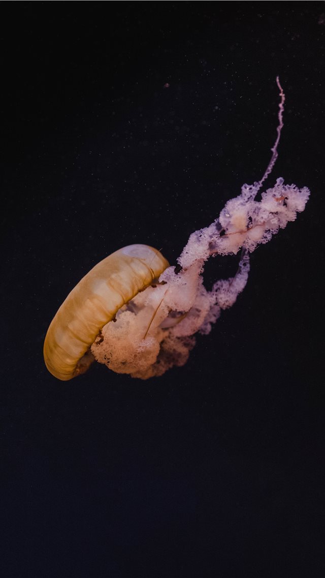 640x1136 Tulsa  OK - ok iPhone Wallpaper