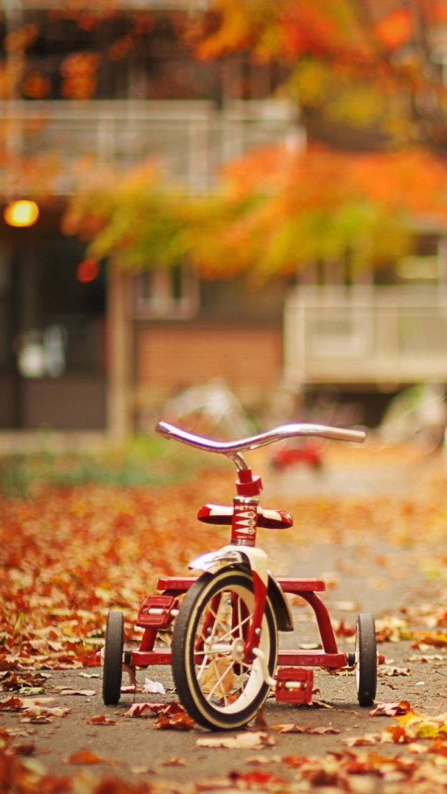 640x1136 Tricycle - road iPhone Wallpaper