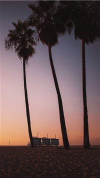 Sunsets in Venice Beach are like ketchup to your f... wallpaper