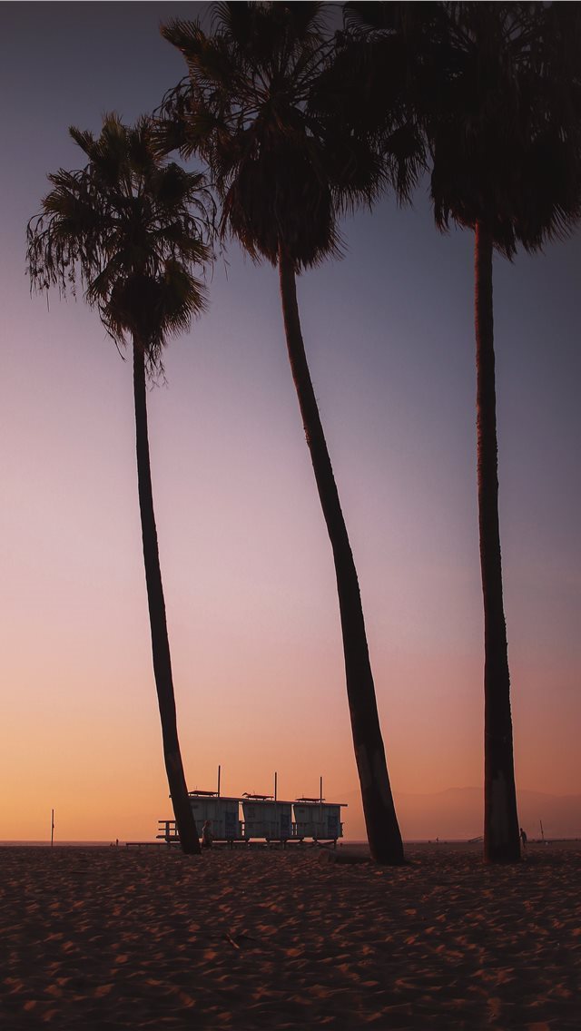 640x1136 Sunsets in Venice Beach are like ketchup to your f... - los angeles iPhone Wallpaper
