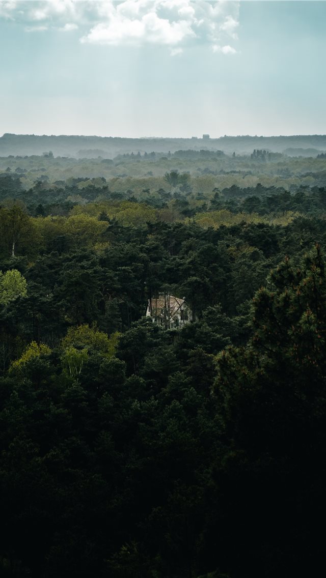 640x1136 On my last hike in the Fontainebleau forest  outsi... -  iPhone Wallpaper