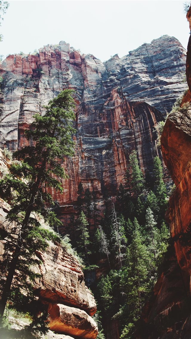 Zion National Park  Springdale  UT  United States iPhone wallpaper 