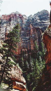 Zion National Park  Springdale  UT  United States wallpaper