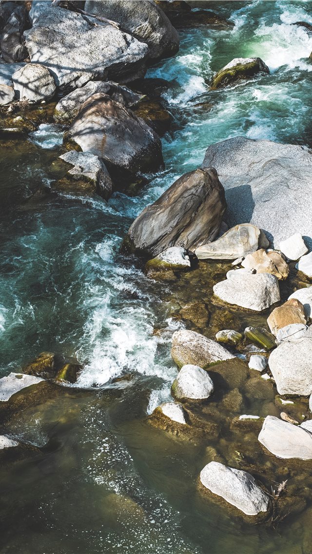 640x1136 Made with Canon 5d Mark III and loved analog lens ... - sea life iPhone Wallpaper