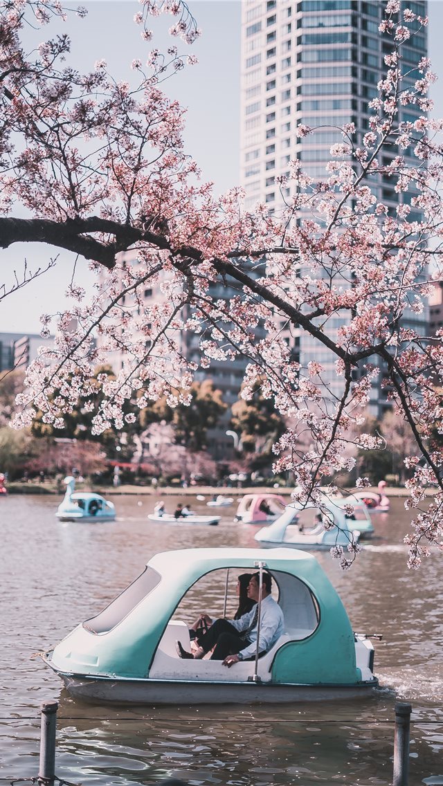 640x1136 Ueno Park  Tokyo  Japan - tokyo iPhone Wallpaper