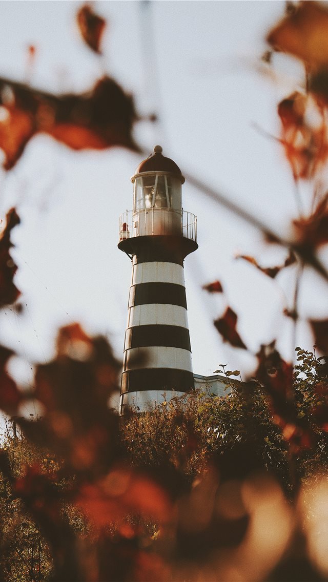 Lighthouse Petrovsky  iPhone wallpaper 