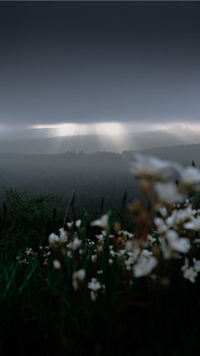 640x1136 Dabo  France - weather iPhone Wallpaper