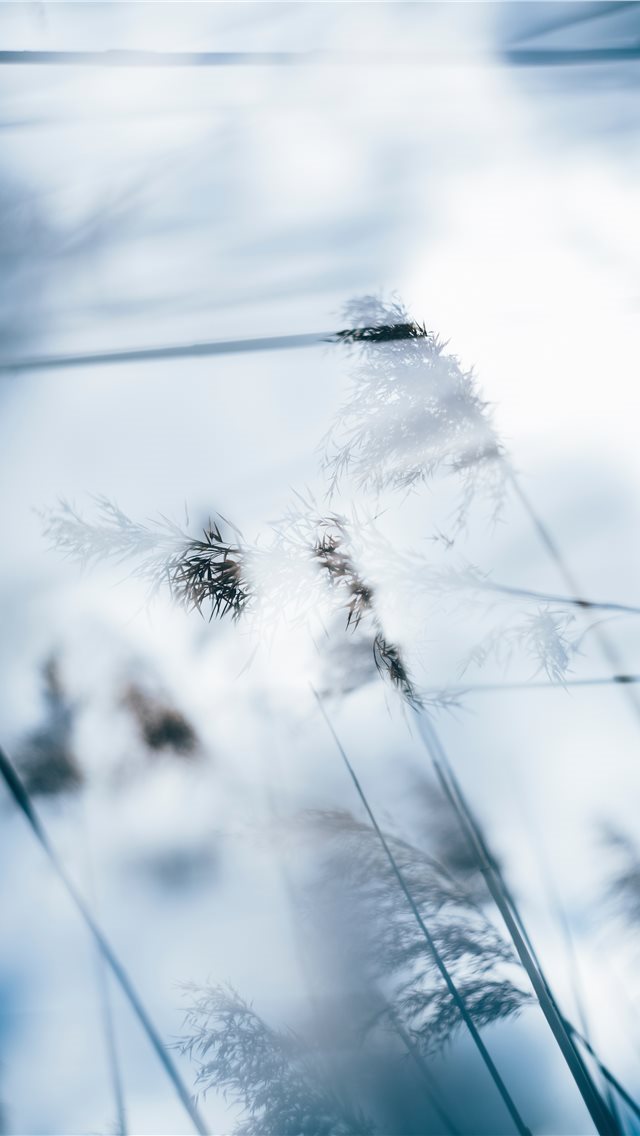640x1136 Made with Canon 5d Mark III and loved analog lens ... - ice iPhone Wallpaper