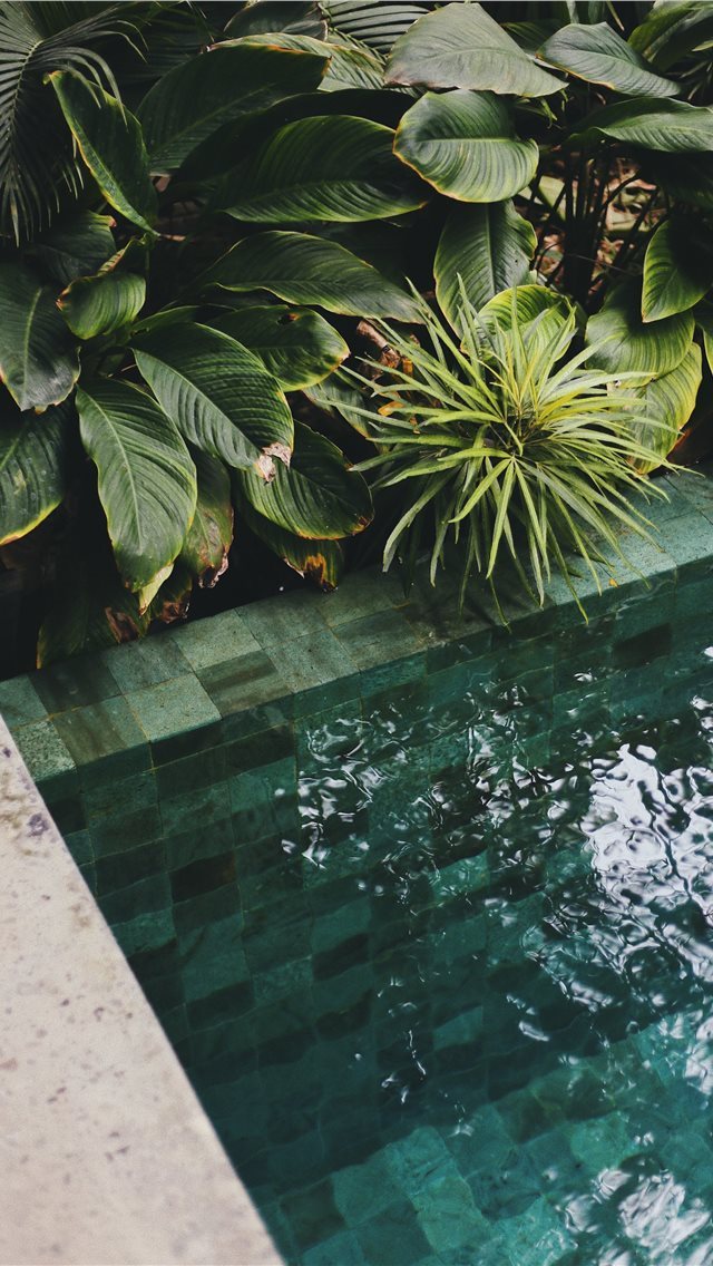 640x1136 The Slow  Bali  Indonesia - indonesia iPhone Wallpaper
