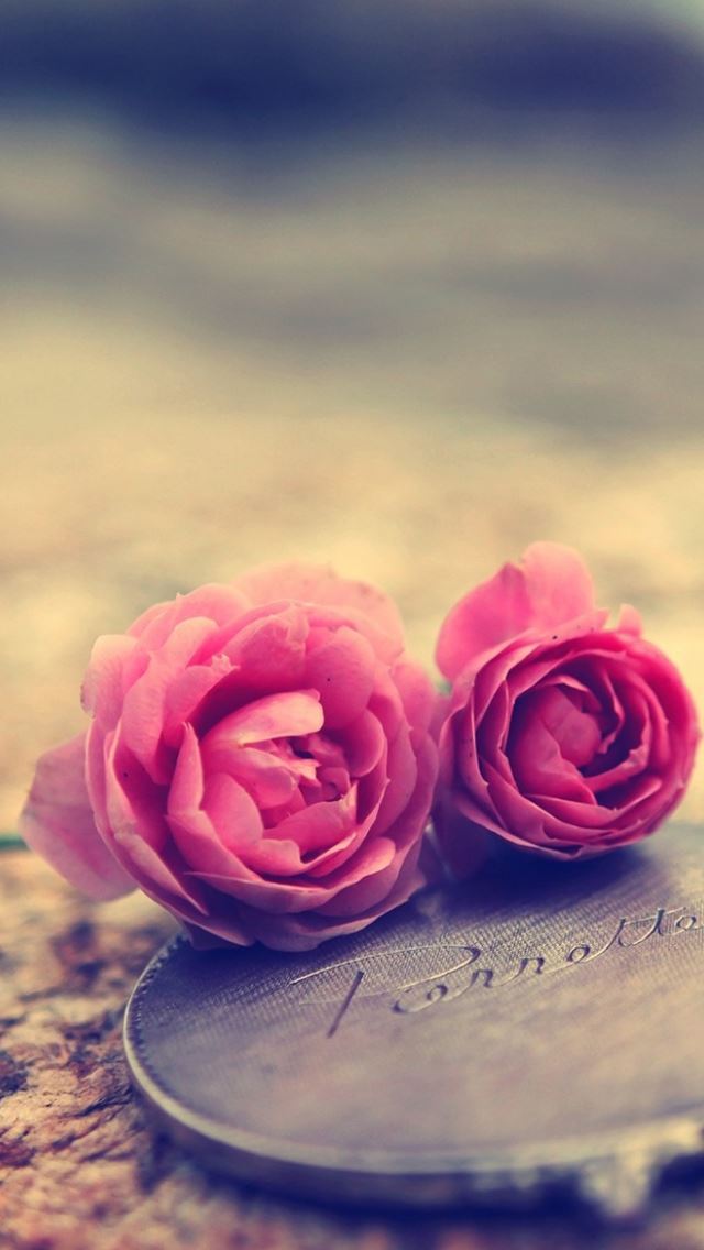 640x1136 Miniature Roses -  iPhone Wallpaper