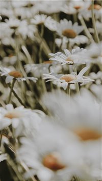 Rhode Island  Newport  USA wallpaper