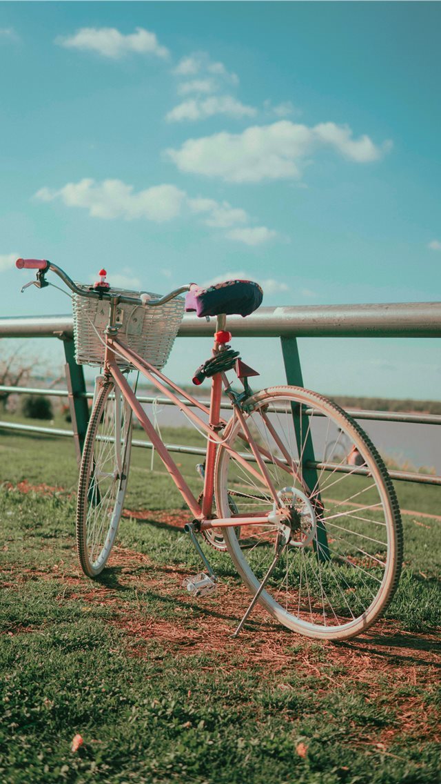 640x1136 Pastel pink bike by the coast walk - argentina iPhone Wallpaper