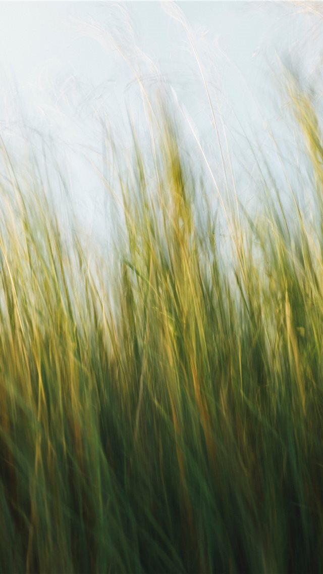 640x1136 Made with Canon 5d Mark III and loved analog lens ... - lawn iPhone Wallpaper