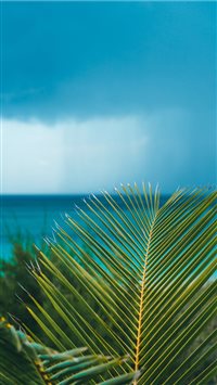 Eleuthera  Bahamas wallpaper