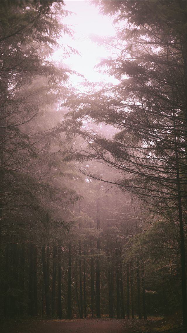 640x1136 Tillamook  Oregon  United States - handrail iPhone Wallpaper