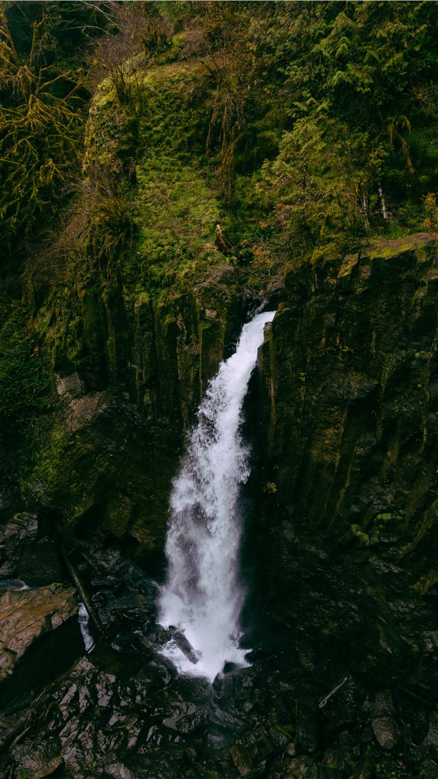 Drift Creek Falls  Lincoln City  Oregon  United St... iPhone wallpaper 