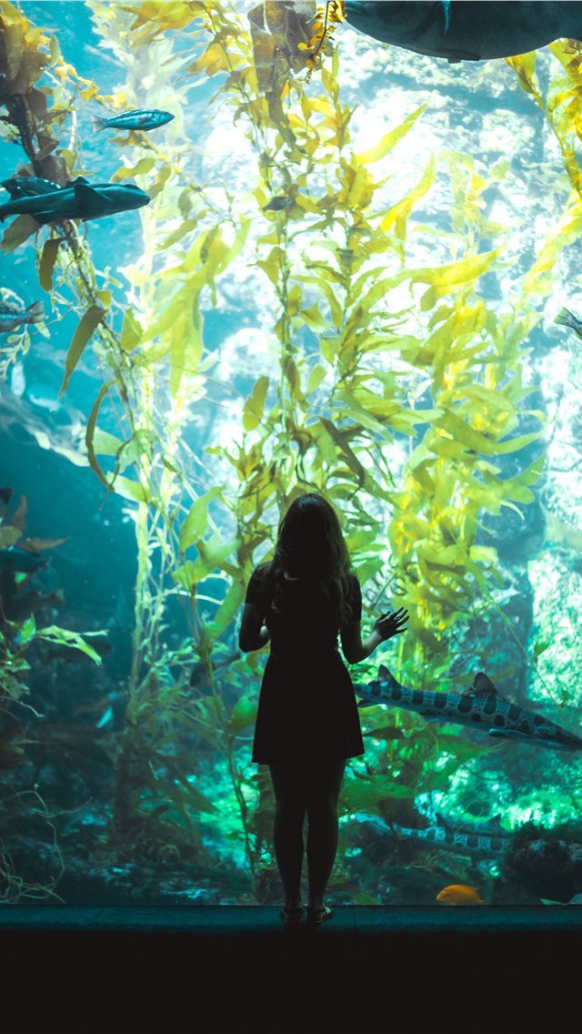 640x1136 La Jolla  CA -  iPhone Wallpaper