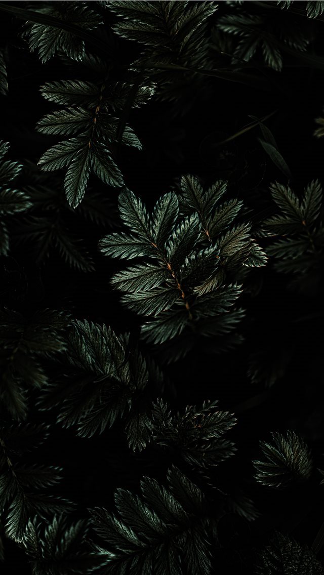 640x1136 Moody Tones - united kingdom iPhone Wallpaper