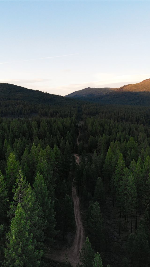 640x1136 Egypt - fir iPhone Wallpaper