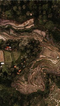 Jalan Raya Tegallalang  Tegallalang  Indonesia wallpaper