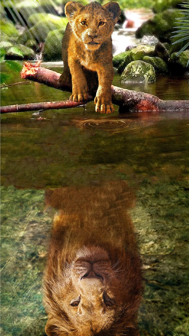the lion king simba 2019 iPhone wallpaper 