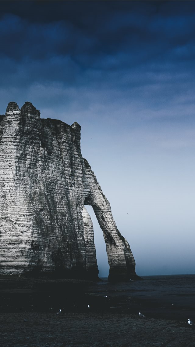 640x1136 Étretat  - bird iPhone Wallpaper
