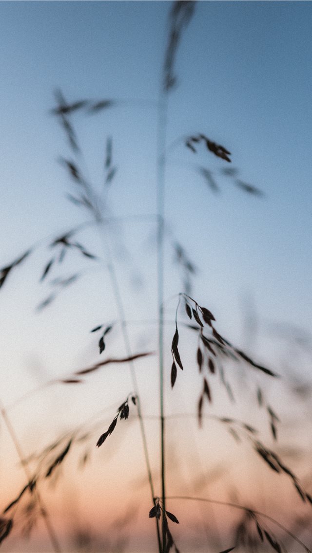 640x1136 Estonia - estonia iPhone Wallpaper