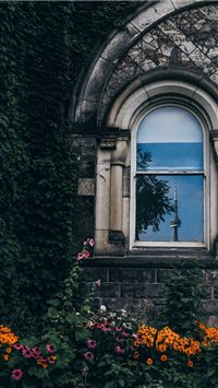 Architectural reflection wallpaper