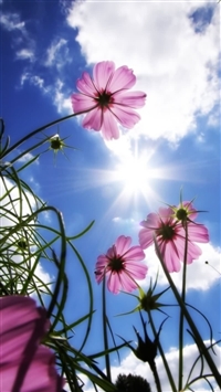 Beautiful Day wallpaper