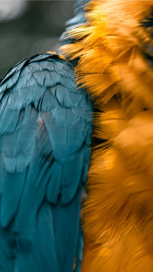 640x1136 details -  iPhone Wallpaper