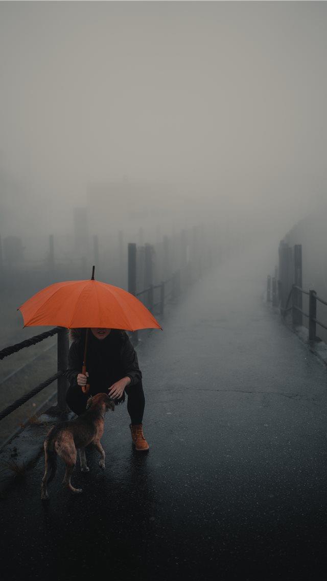640x1136 Paranapiacaba Brazil -  iPhone Wallpaper