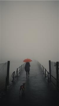 Paranapiacaba Brazil wallpaper