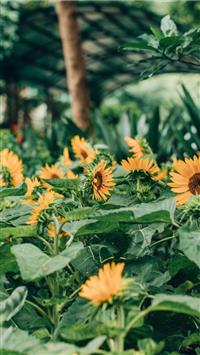 Saigon Zoo Botanical Gardens Ho Chi Minh City Viet... wallpaper