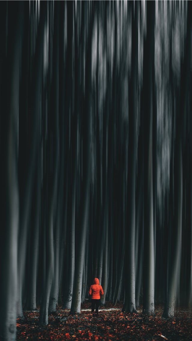 640x1136 man wearing orange jacket -  iPhone Wallpaper