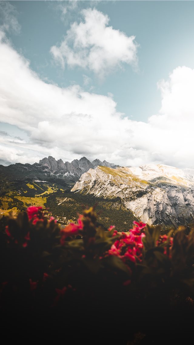 640x1136 snow covered mountain - hill iPhone Wallpaper