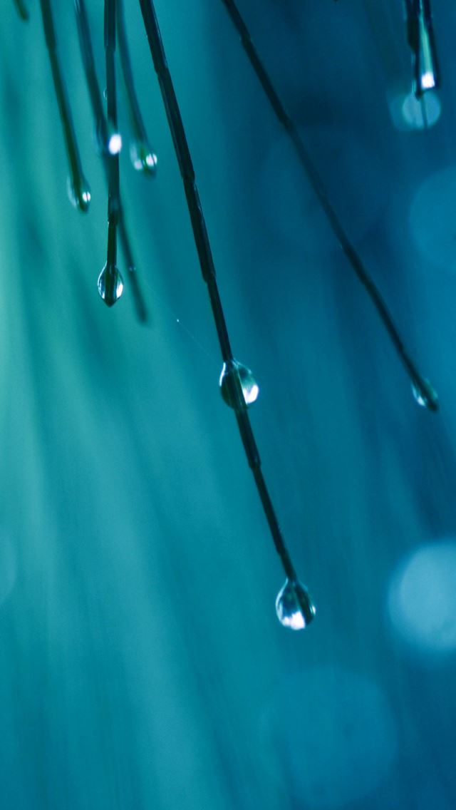 640x1136 Rainy - bokeh iPhone Wallpaper