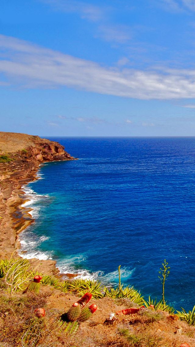 640x1136 Sunshine Coast - sea iPhone Wallpaper