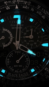 Citizen Wristwatch wallpaper