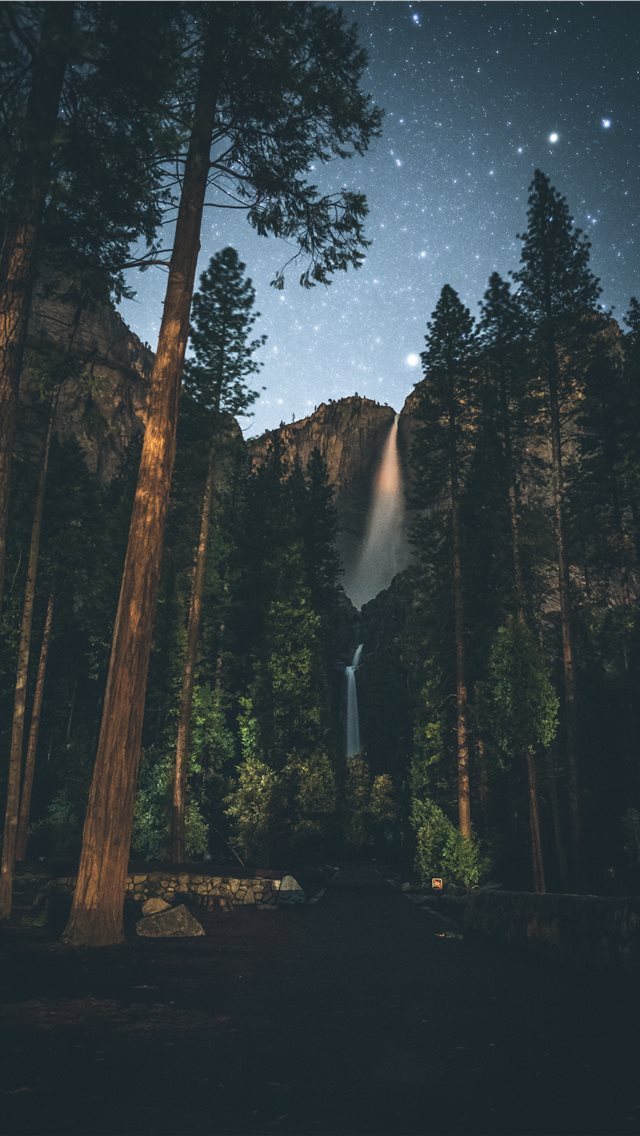 640x1136 forest painting -  iPhone Wallpaper