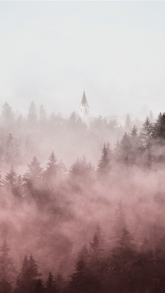 640x1136 pine trees covered in fogs -  iPhone Wallpaper
