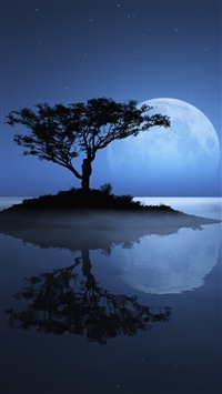 Tree on the Lost Island wallpaper