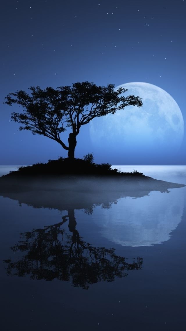 640x1136 Tree on the Lost Island - lost iPhone Wallpaper