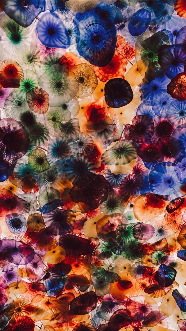 640x1136 Colored Jellyfidshes - colors iPhone Wallpaper