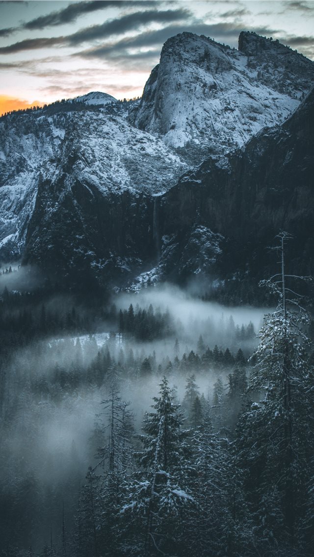 640x1136 fog covered forest - mountain iPhone Wallpaper