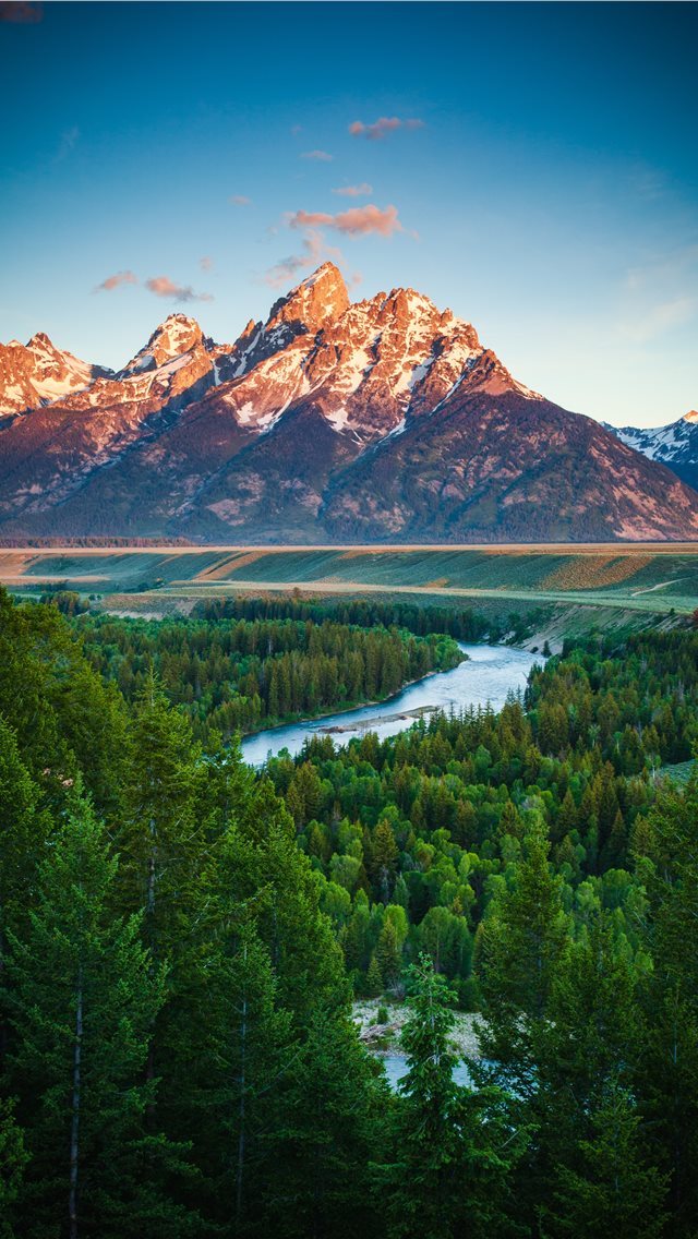 640x1136 green trees on body of water -  iPhone Wallpaper
