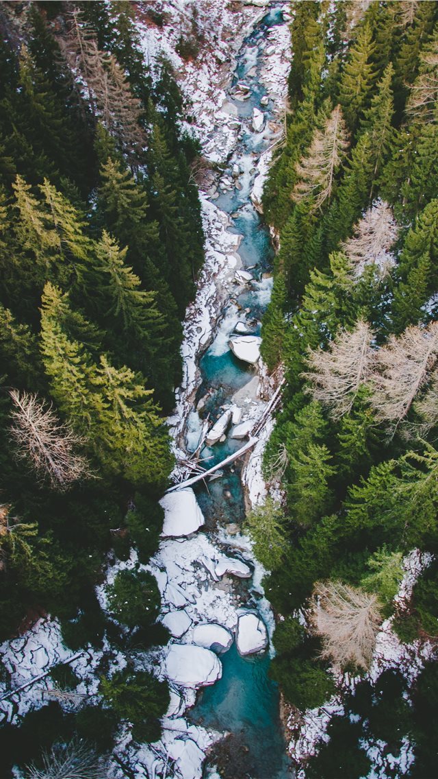 640x1136 aerial photography of body of water between pine t... - winter iPhone Wallpaper