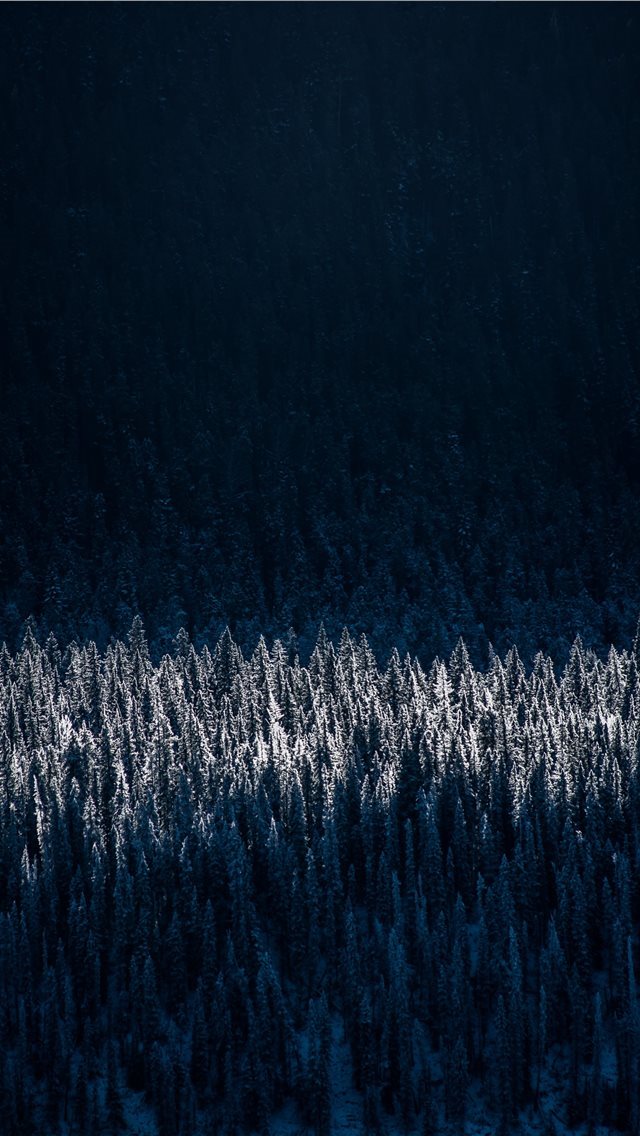 640x1136 aerial photography of snow capped trees - canada iPhone Wallpaper